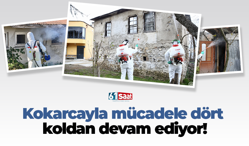 Kokarcayla mücadele dört koldan devam ediyor!
