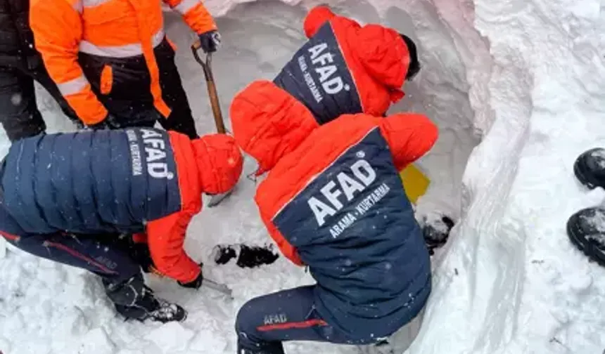 Artvin’de çığ altında kalan çobanı arama çalışmalarında 4’üncü gün