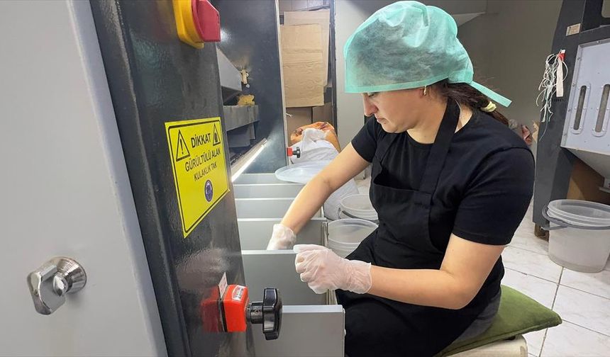 Giresunlu kadın girişimci devlet desteğiyle fındık işleme tesisi kurdu