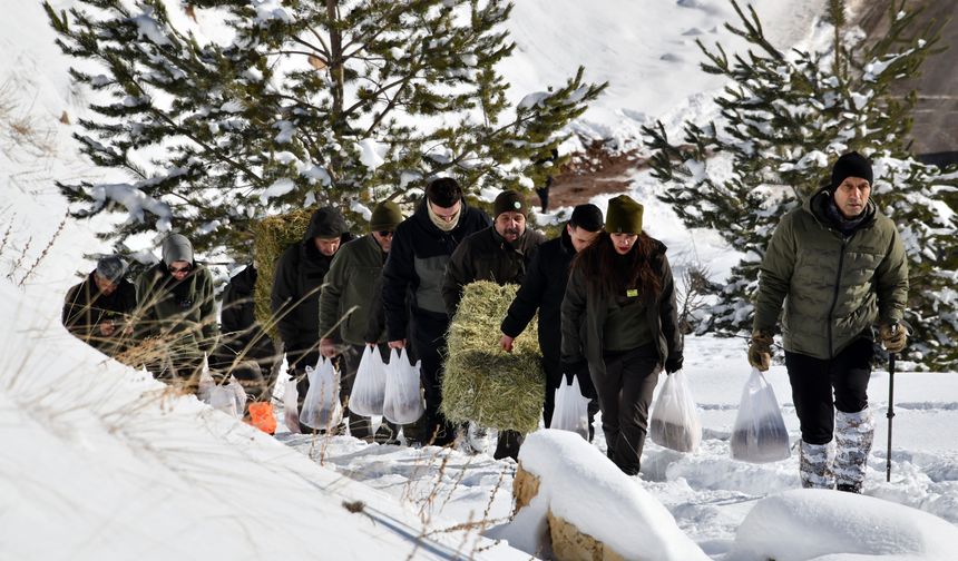 Gümüşhane’de aç kalan yaban hayvanları için seferberlik
