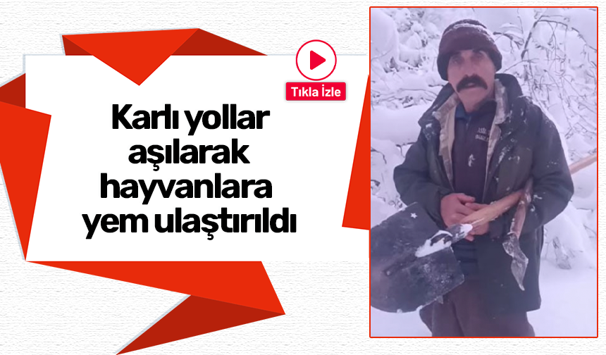 Karlı yollar aşılarak hayvanlara yem ulaştırıldı