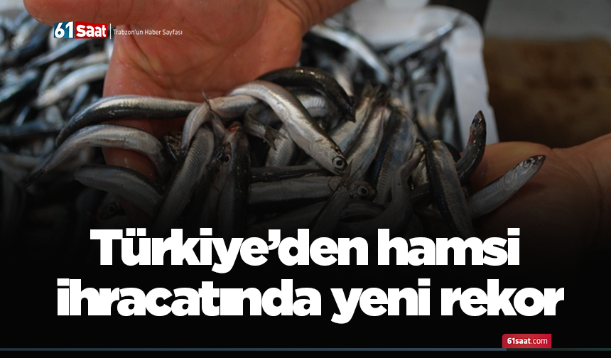 Türkiye’den hamsi ihracatında yeni rekor