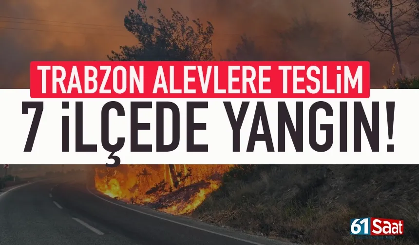 Trabzon alevlere teslim: Sıcak hava dalgası 7 ilçede yangın çıkardı!