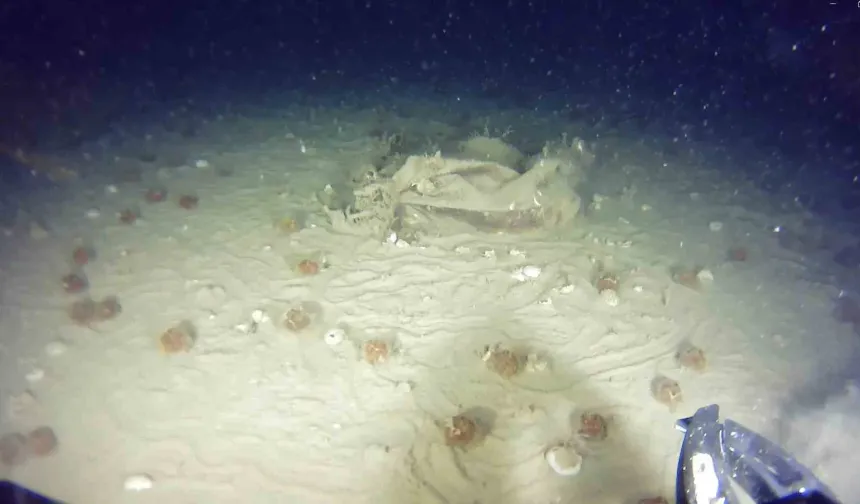 Marmara Denizi’ne 51 yıl önce düşen  THY uçağına ait yeni izler bulundu