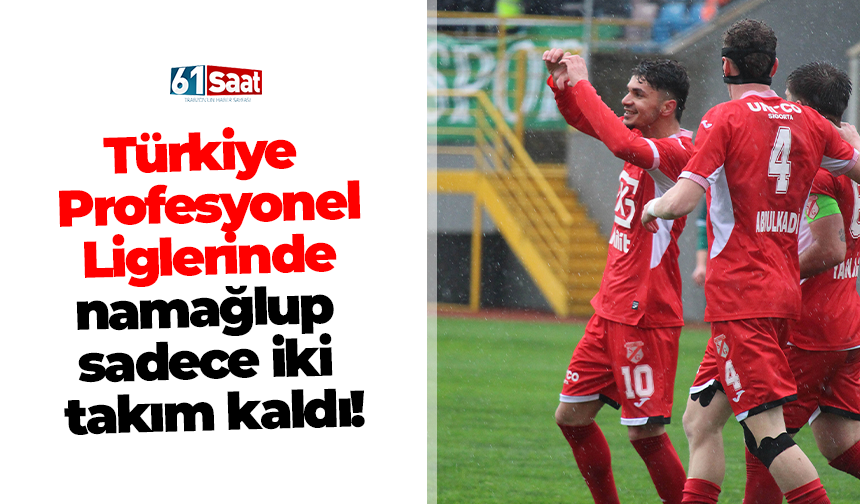 Türkiye  Profesyonel  Liglerinde  namağlup  sadece iki  takım kaldı!