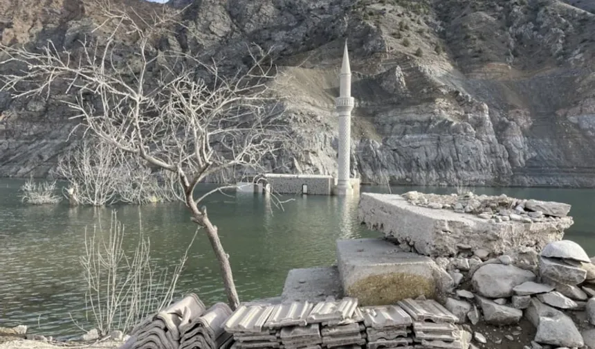 Artvin'de baraj suları çekildi  köy ortaya çıktı