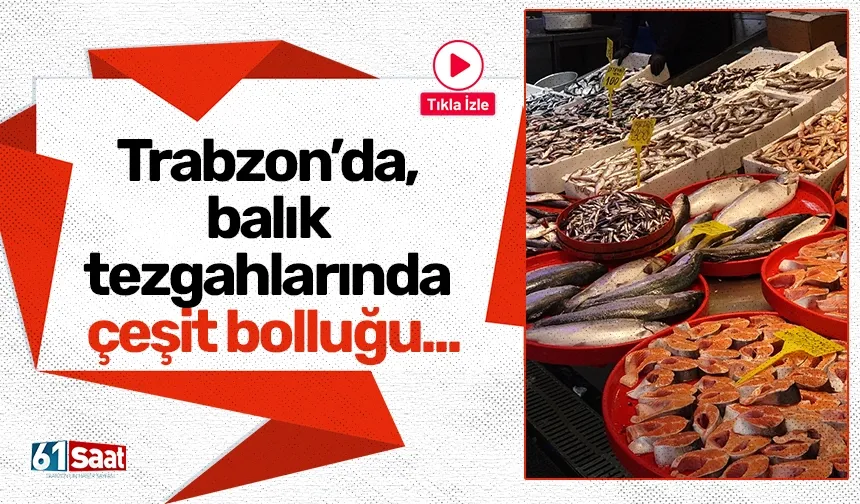 Trabzon’da, balık tezgahlarında çeşit bolluğu...