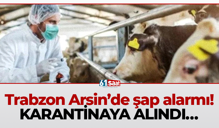 Trabzon Arsin’de şap alarmı! KARANTİNAYA ALINDI…