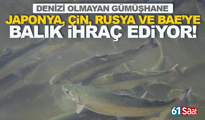 Denizi olmayan Gümüşhane'den BAE, Rusya, Çin ve Japonya'ya balık ihracı...