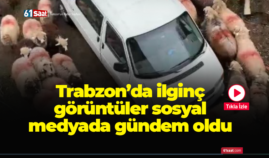 Trabzon’da ilginç görüntüler sosyal medyada gündem oldu