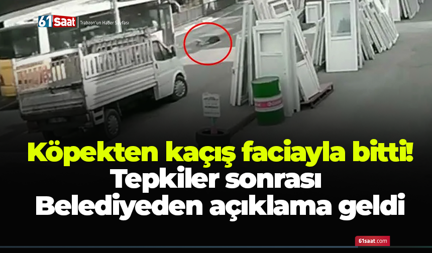 Köpekten kaçtı, otobüs çarptı…  Trabzon’da olay büyüdü,  Büyükşehir’den açıklama!