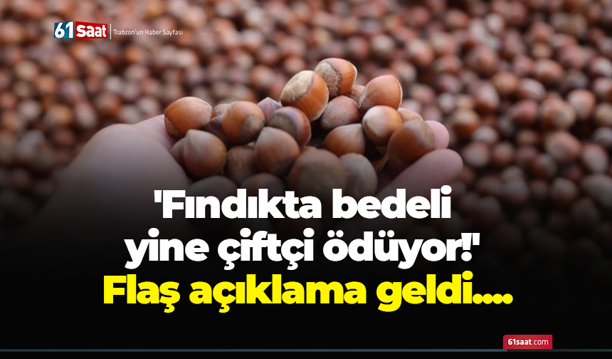 'Fındıkta bedeli yine çiftçi ödüyor!' Flaş açıklama geldi....