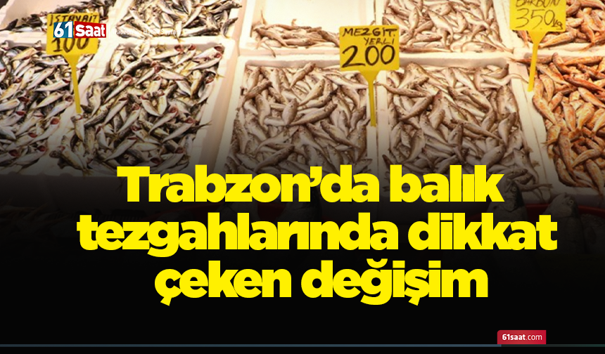 Trabzon’da balık tezgahlarında dikkat çeken değişim