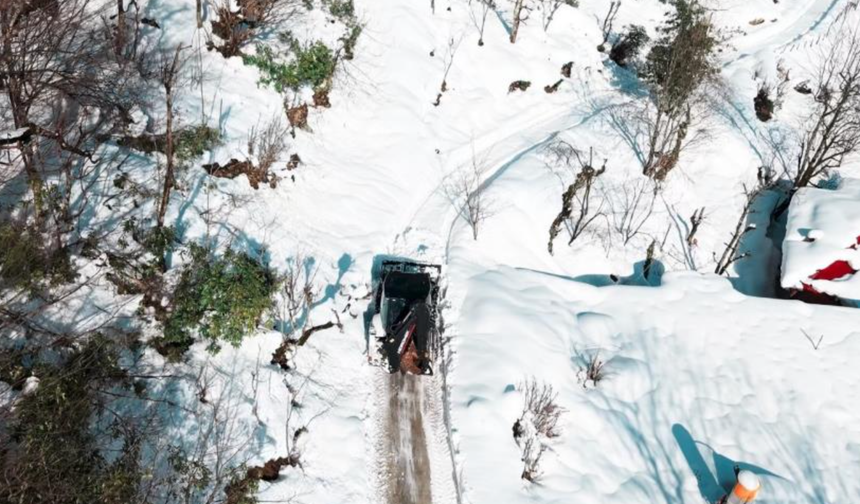 Giresun’un yüksek kesimlerinde karla mücadele sürüyor