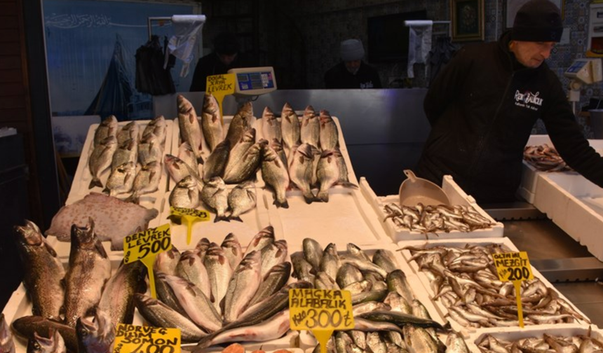 Rize'de istavrit ve hamsinin kilogramı 100 liradan satıldı