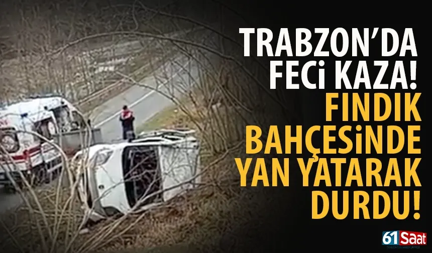 Trabzon'da kaza! Fındık bahçesinde yan yattı...