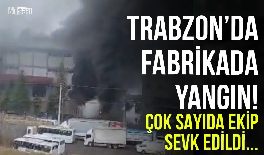 Trabzon'da fındık fabrikasında yangın! Çok sayıda ekip sevk edildi...
