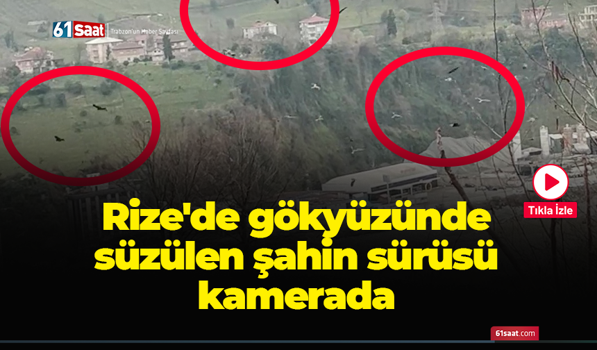 Rize'de gökyüzünde süzülen şahin sürüsü kamerada