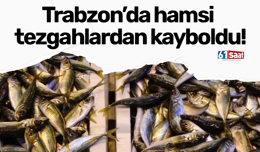 Trabzon’da hamsi tezgahlardan kayboldu!