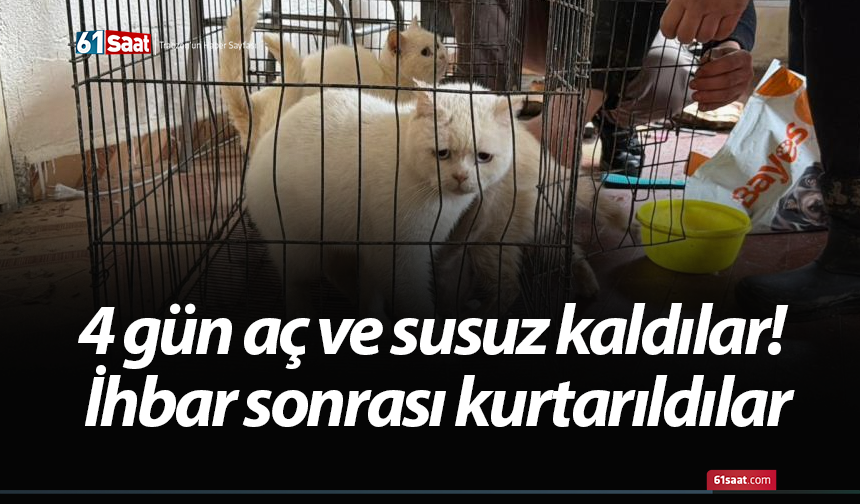 4 gün aç ve susuz kaldılar! İhbar sonrası kurtarıldılar