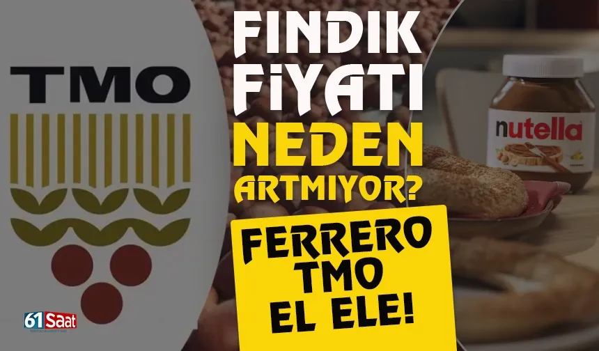 Fındık fiyatı neden artmıyor? TMO, Ferrero el ele...