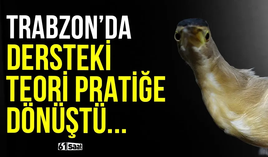 Trabzon'da dersteki teori bahçede pratiğe dönüştü!