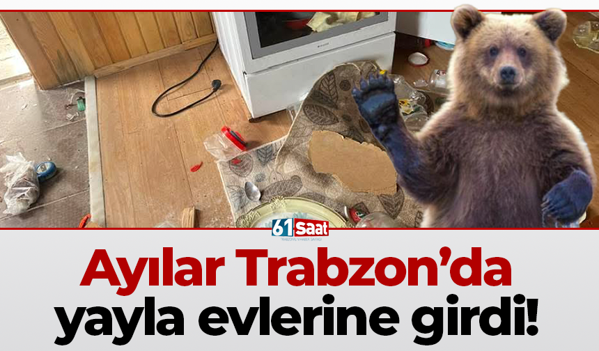 Ayılar Trabzon’da yayla evlerine girdi!