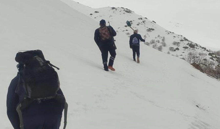 Bayburt'ta ayı saldırılarının yaşandığı yaylada ulaşım sorunu sürüyor