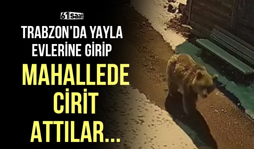Trabzon'da yayla evlerine girip, mahallede cirit attılar!