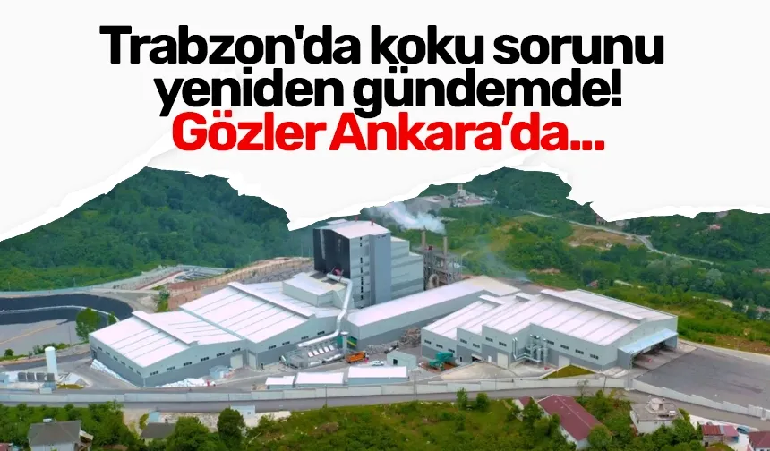 Trabzon'da koku sorunu yeniden gündemde! Gözler Ankara’da...