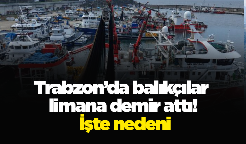 Trabzon’da balıkçılar limana demir attı! İşte nedeni