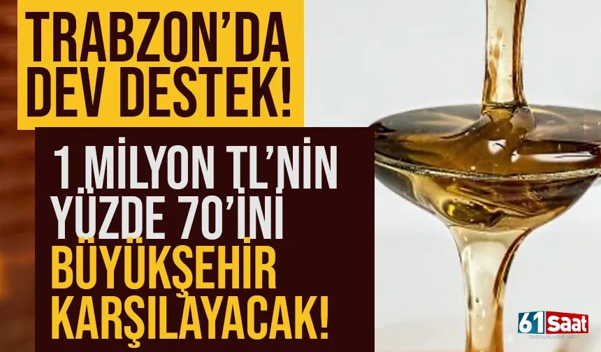 Trabzon'da dev destek! 1 milyon TL'ye mal oluyor, yüzde 70'ini büyükşehir karşılayacak!