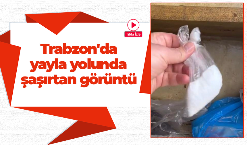 Trabzon'da yayla yolunda şaşırtan görüntü