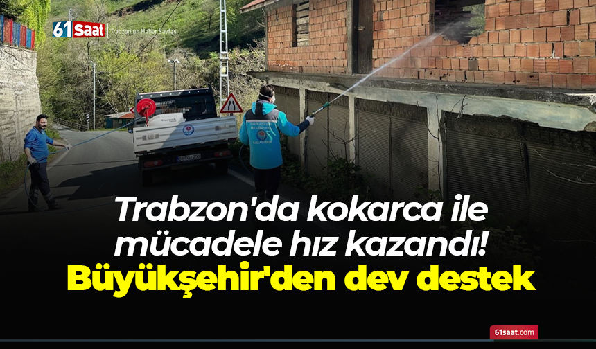 Trabzon'da kokarca ile mücadele hız kazandı! Büyükşehir'den dev destek