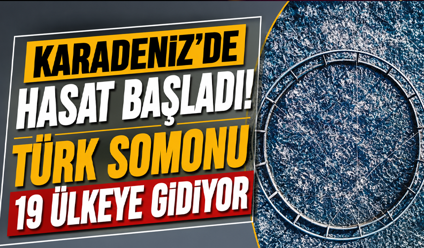 Karadeniz’de hasat başladı! Türk somonu 19 ülkeye gidiyor