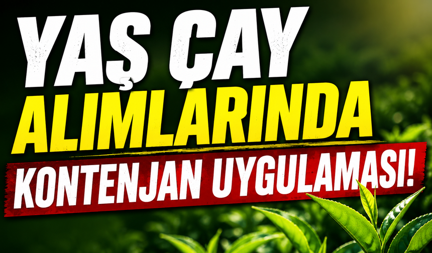Yaş çay alımlarında kontenjan uygulaması!