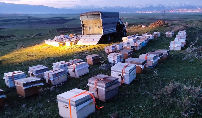 Karadeniz'in gezgin arıcıları yeni sezon için Doğu Anadolu'nun dağlarını mesken tuttu