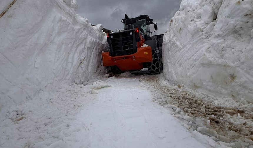 Rize'de karla kaplı yayla yolları tek tek ulaşıma açılıyor.