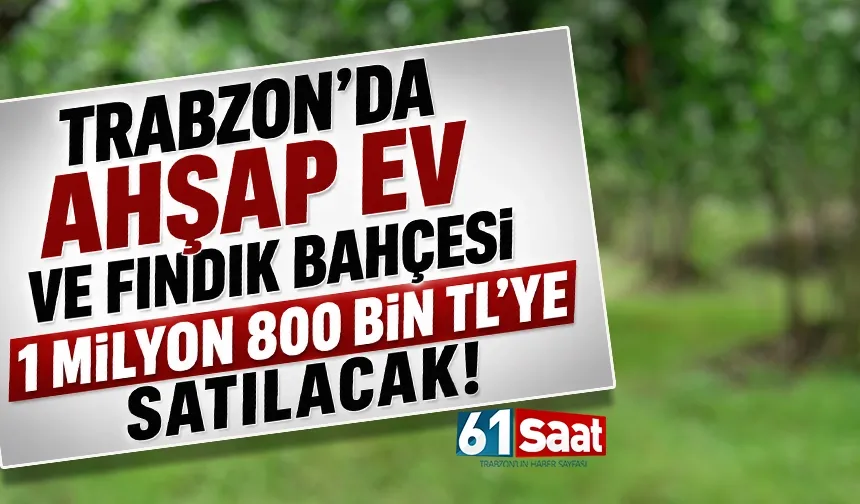 Trabzon'da Ahşap Ev ve Fındık Bahçesi 1 milyon 800 bin TL'ye satılacak!
