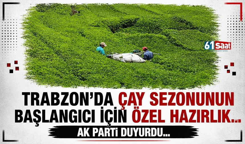 Trabzon'da çay sezonunun başlangıcı için özel hazırlık!