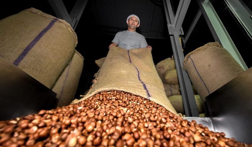 Doğu Karadeniz'den ilk 4 ayda 678 milyon dolarlık ihracat