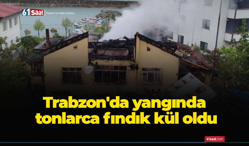 Trabzon'da yangında tonlarca fındık kül oldu