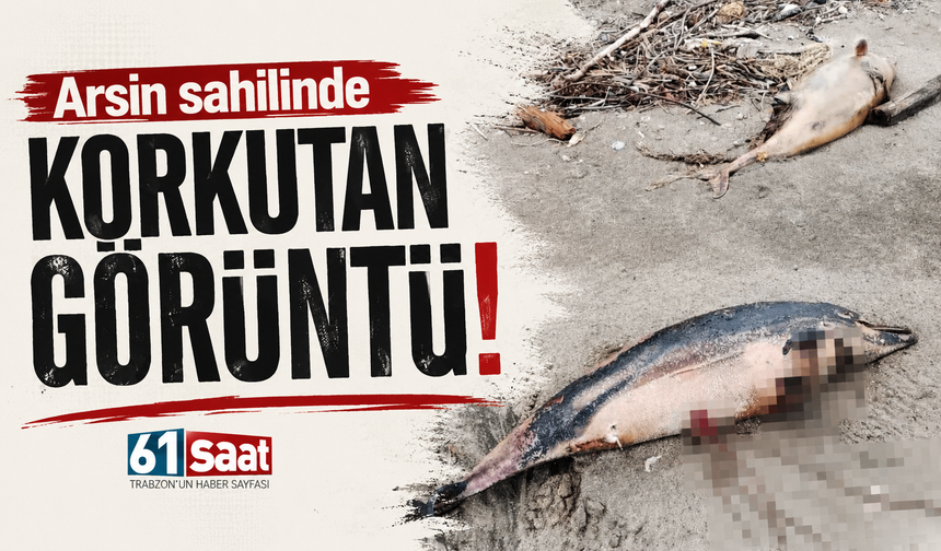 Arsin sahilinde korkutan görüntü!