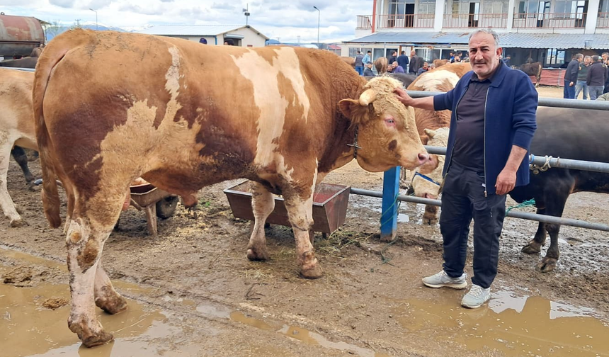 Şampiyon Çakır 525 bin TL’den satışta