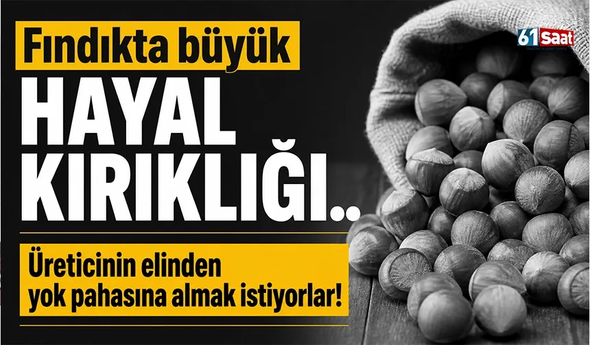 Fındıkta büyük hayal kırıklığı.. Üreticinin elinden yok pahasına almak istiyorlar!