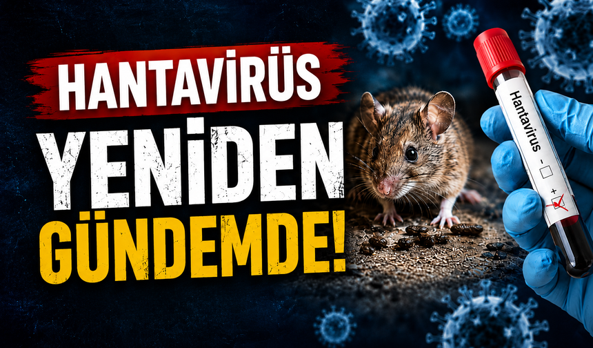 Hantavirüs yeniden gündemde: Belirtileri ve bulaşma yolları merak ediliyor