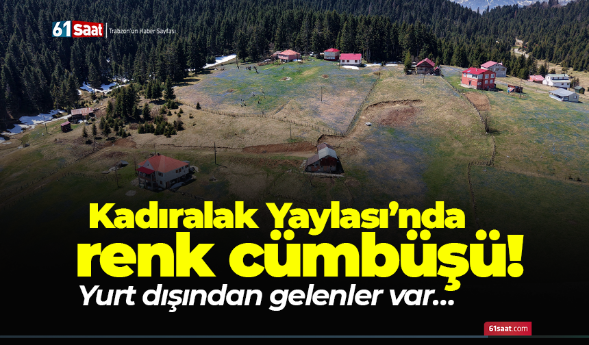 Kadıralak Yaylası’nda renk cümbüşü! Yurt dışından gelenler var…