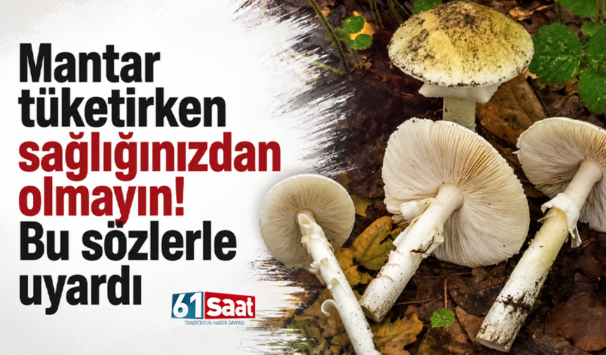 Mantar tüketirken sağlığınızdan olmayın! Bu sözlerle uyardı