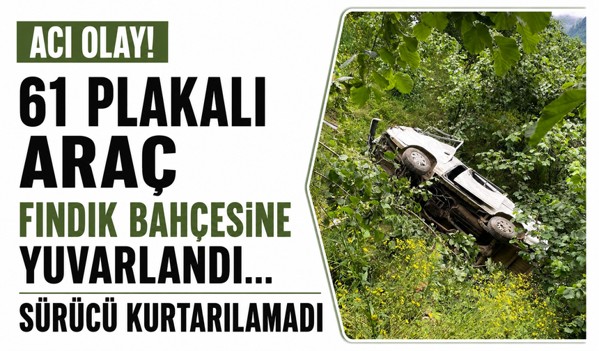 Acı olay! 61 plakalı araç fındık bahçesine yuvarlandı… Sürücü kurtarılamadı