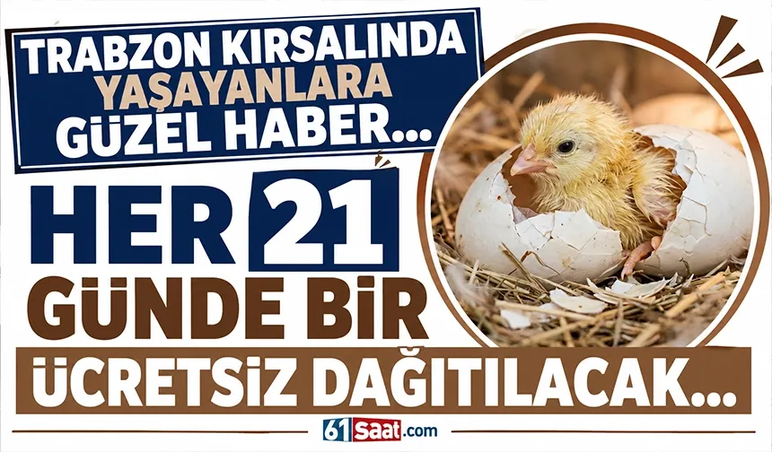 Trabzon'da her 21 günde bir, bin tanesi ücretsiz dağıtılacak